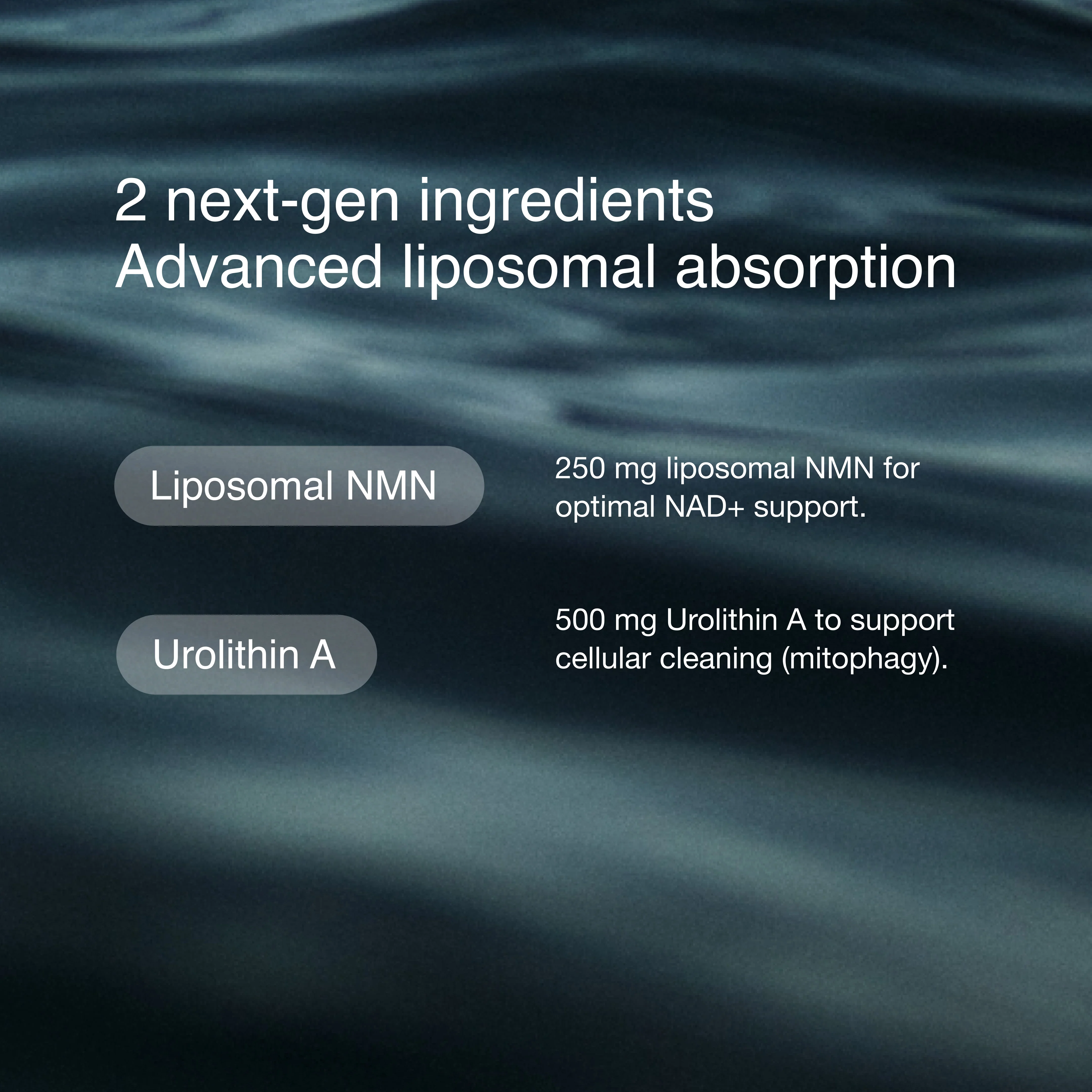 Cellular Energy Pro™ - Image 4