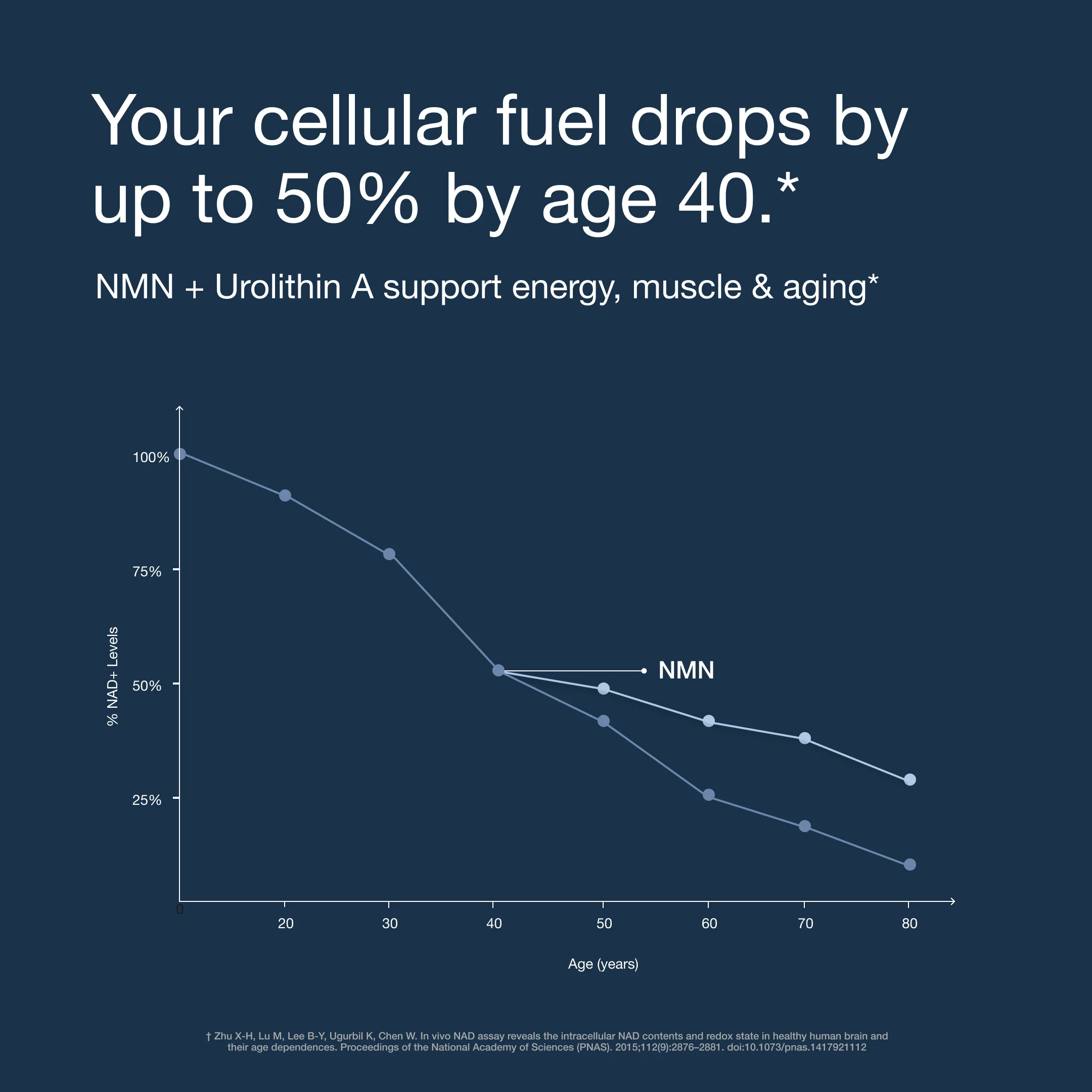 Cellular Energy Pro™ - Image 5